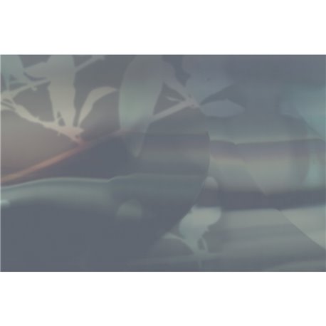 LUCID DREAM GLXI292B LUCID DREAM GLXI292B