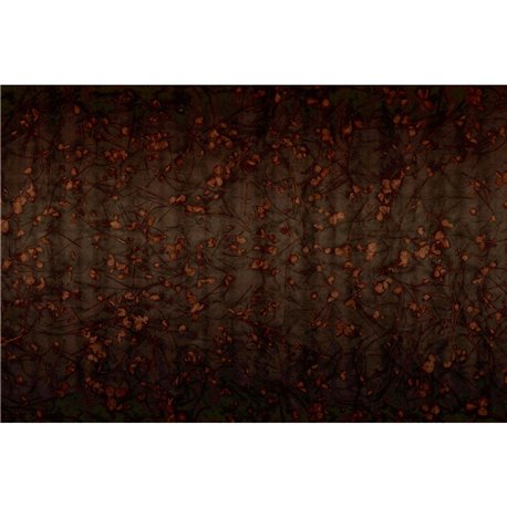 PIAF GLXI152A PIAF GLXI152A
