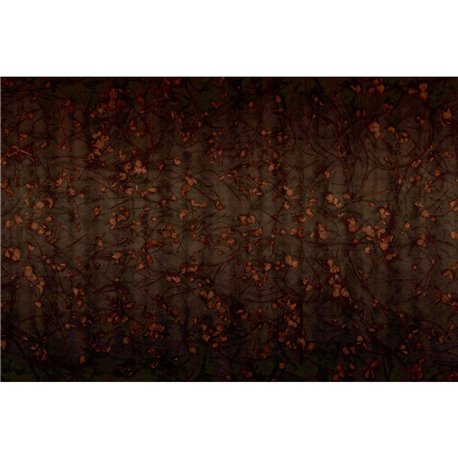 PIAF GLXI152B PIAF GLXI152B