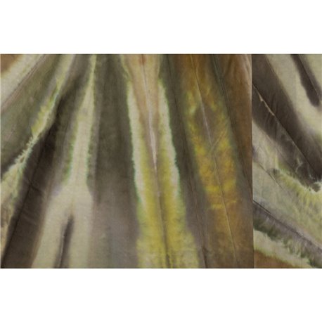 AGAVE GLXII21A AGAVE GLXII21A