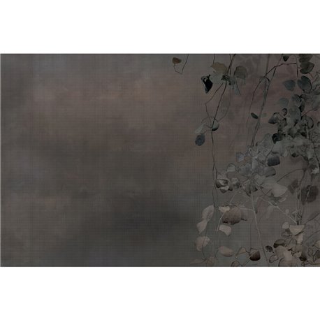 EDERA GLXII221A EDERA GLXII221A