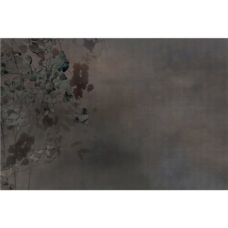 EDERA GLXII221B EDERA GLXII221B