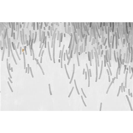 FIREWORKS GLXII252A FIREWORKS GLXII252A