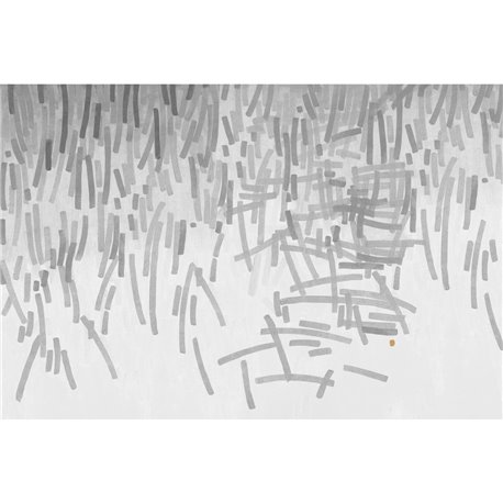 FIREWORKS GLXII252B FIREWORKS GLXII252B
