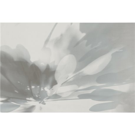 PRESENCE GLXII441A PRESENCE GLXII441A