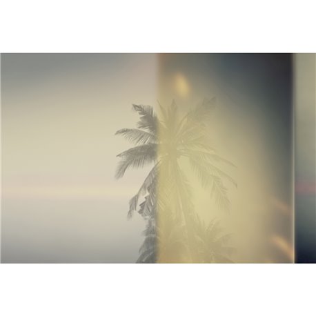 RISING SUN GLXII461B RISING SUN GLXII461B