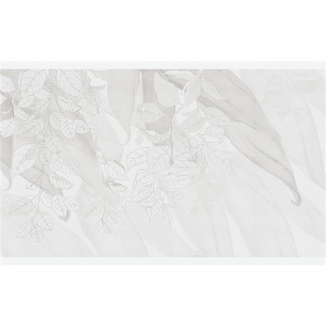 ELISY GRAPHITE ELISY GRAPHITE