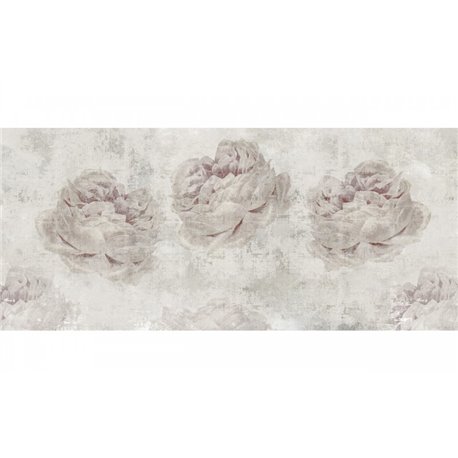 ROSAE GREY ROSAE GREY