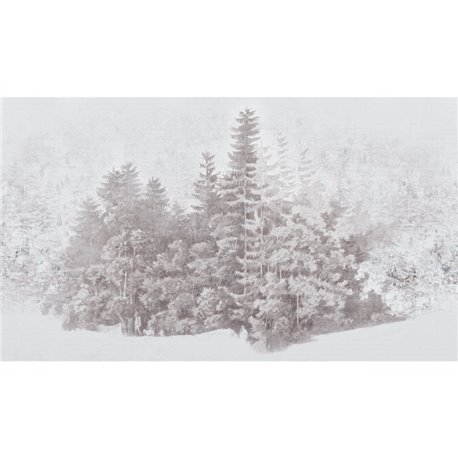SILVA GRAPHITE SILVA GRAPHITE