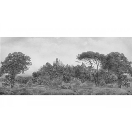 TOSCANA GRAPHITE TOSCANA GRAPHITE