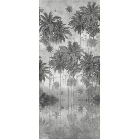 COCOE GRAPHITE COCOE GRAPHITE