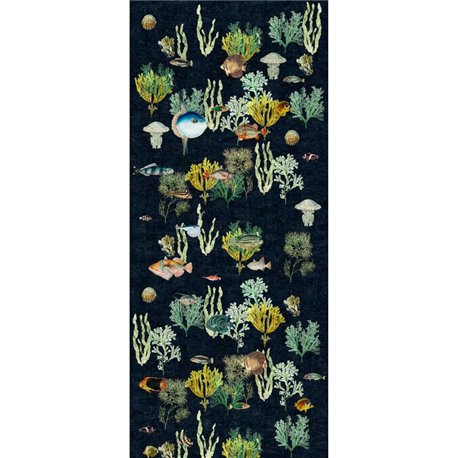 REEF BLACK REEF BLACK