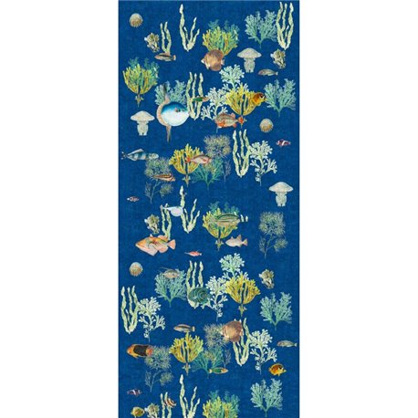 REEF OCEAN REEF OCEAN