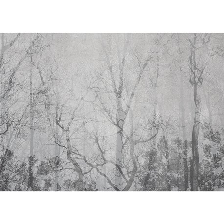 SHADOWS SH-04 SHADOWS SH-04