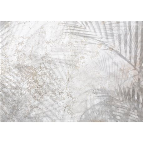 SHADOWS SH-06 SHADOWS SH-06