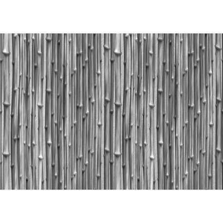 3D 22 3D 22