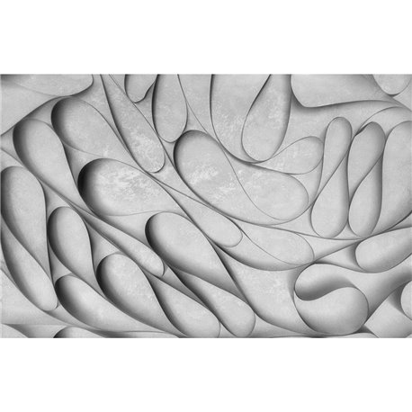 3D 50 3D 50