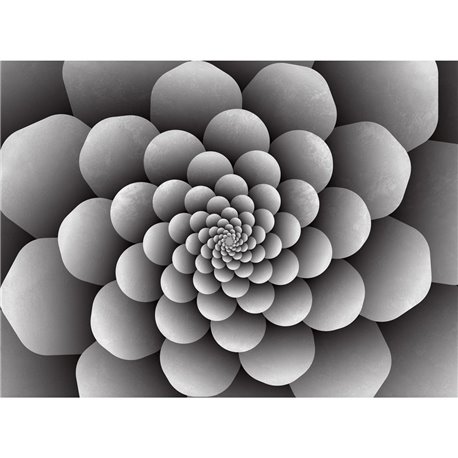 3D 73 3D 73