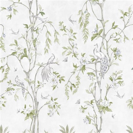 Epic Papiro YSP0293 Epic Papiro YSP0293