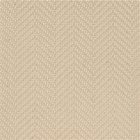 BARCELONA IVORY