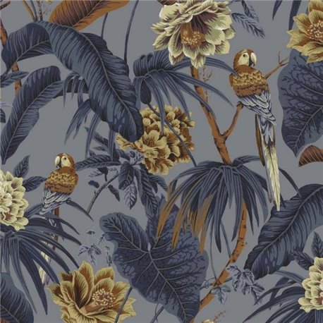 PARADISIA PALOMA GREY PARADISIA PALOMA GREY