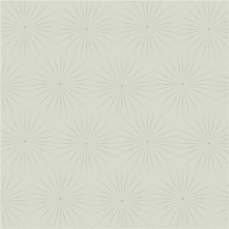 Starlight Grey Glint BO6693 Starlight Grey Glint BO6693