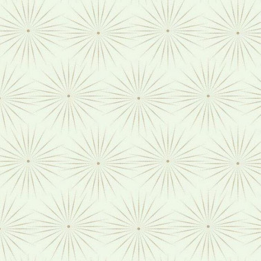 Starlight White Warm Silver BO6692