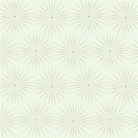 Starlight White Warm Silver BO6692 Starlight White Warm Silver BO6692