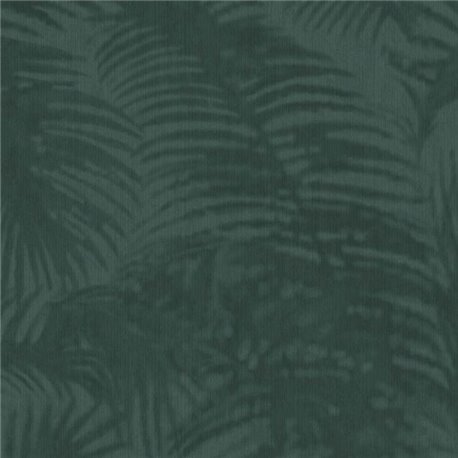 Oasis 317306.jpeg Oasis 317306.jpeg