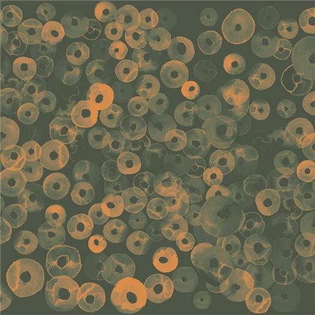 Cellular Patterns Amber A00156 Cellular Patterns Amber A00156