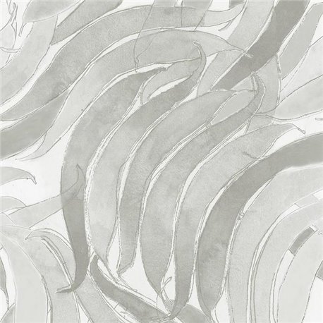 Crop Fossils Ice A00124 Crop Fossils Ice A00124