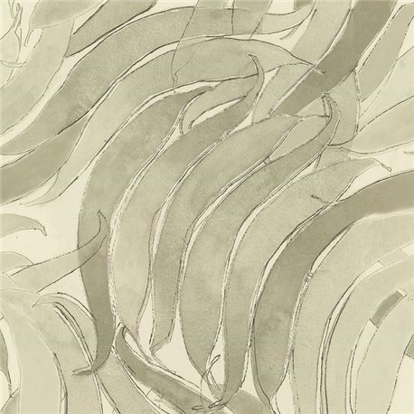 Crop Fossils Silvester A00125 Crop Fossils Silvester A00125
