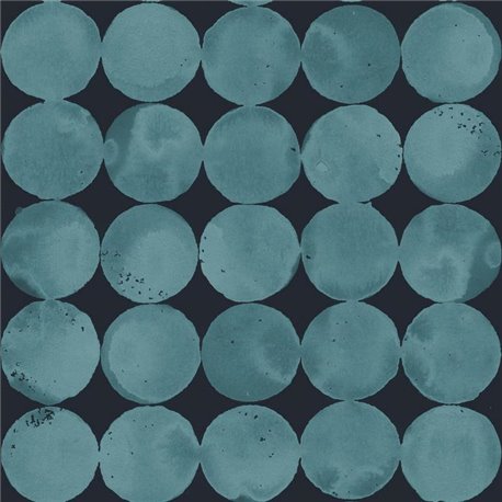 Lunar Craters Aqua A00118 Lunar Craters Aqua A00118