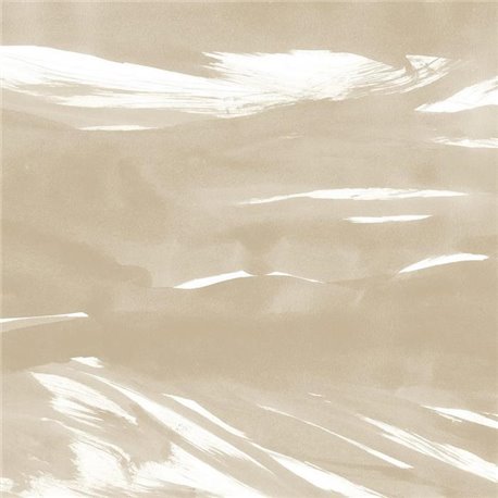 Marine Xray Dune A00142 Marine Xray Dune A00142