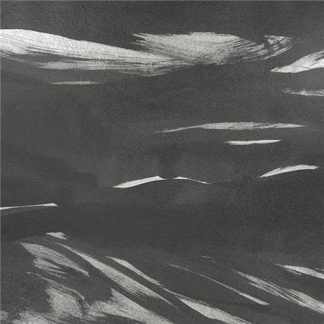 Marine Xray Metallics Onyx A00144 Marine Xray Metallics Onyx A00144