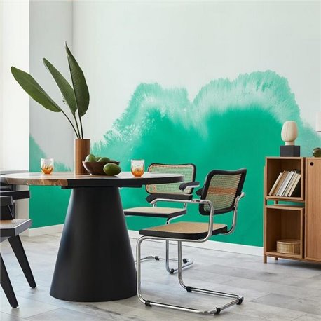 Coral Reefs Aqua A00121