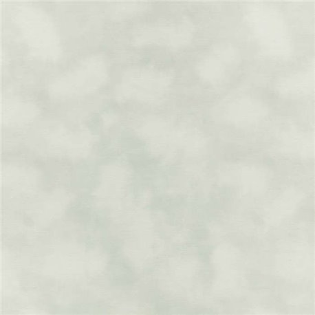 Mist Ash WK818-01 Mist Ash WK818-01
