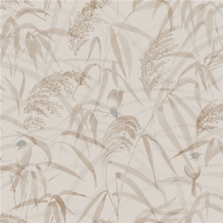 Anna Hazel S10110 Anna Hazel S10110