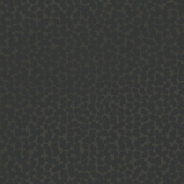 Artifact 312445.jpeg