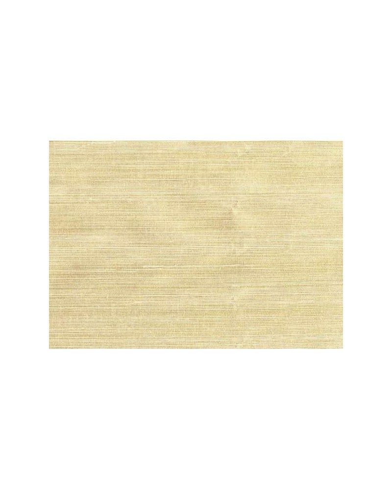 Papel Pintado Sisal 4761 - JANNELLI E VOLPI Papel Pintado Sisal 4761 - JANNELLI E VOLPI