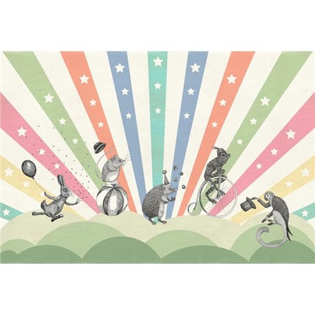 Circus Rainbow R18172 Circus Rainbow R18172