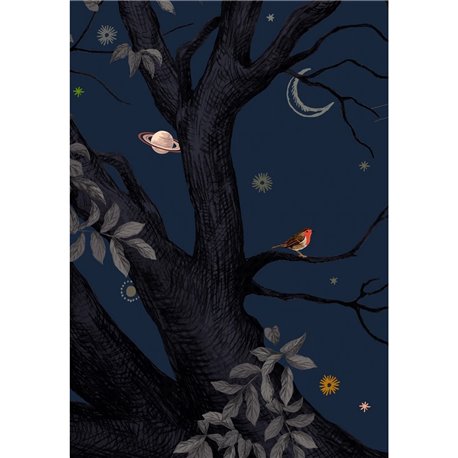 ARBRACADABRA NUIT ARBRACADABRA NUIT
