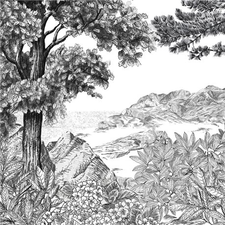 FORET BRETONNE GRISAILLE FORET BRETONNE GRISAILLE