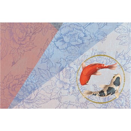 KOI KT729M-B KOI KT729M-B