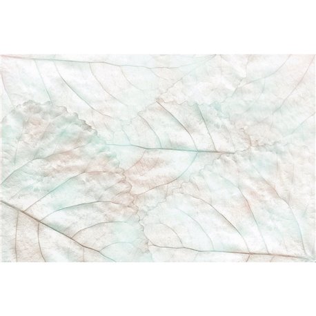 PURE DREAMS KT639M-B PURE DREAMS KT639M-B