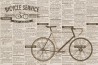 BICYCLE SERVICE KT106M-D