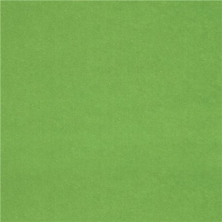F2034_44 CASSIA F2034_44 CASSIA