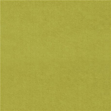 F2034_41 CASSIA F2034_41 CASSIA