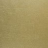 Ernani ouro P502-01