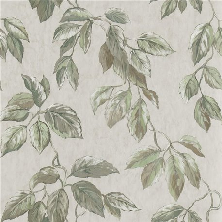 Jangal Shell PDG1127-02 Jangal Shell PDG1127-02